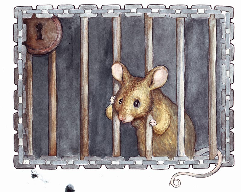 mouse_in_cage_by_fenster.jpg