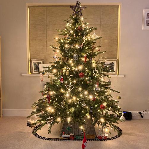Tamis Christmas Tree.jpg
