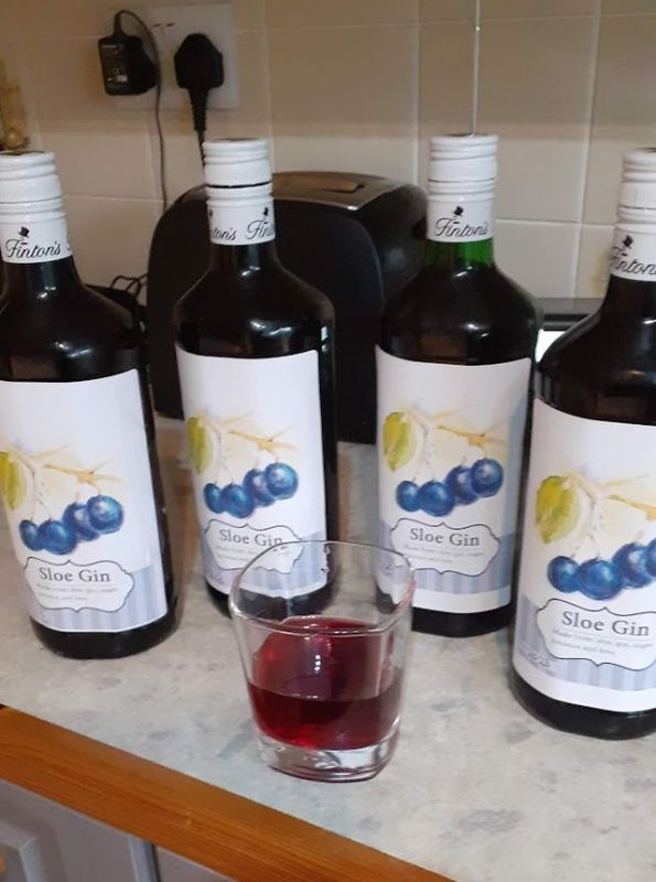 sloe gin 2024.jpg