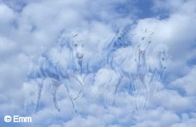 Unicorns 2.jpg